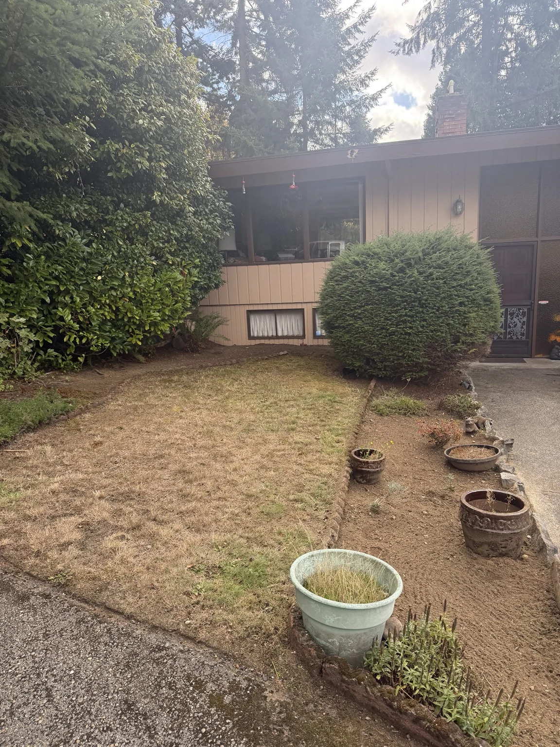 Completed: Mowing, edging & flower bed cleanup in Mountlake Terrace, Washington — view 2