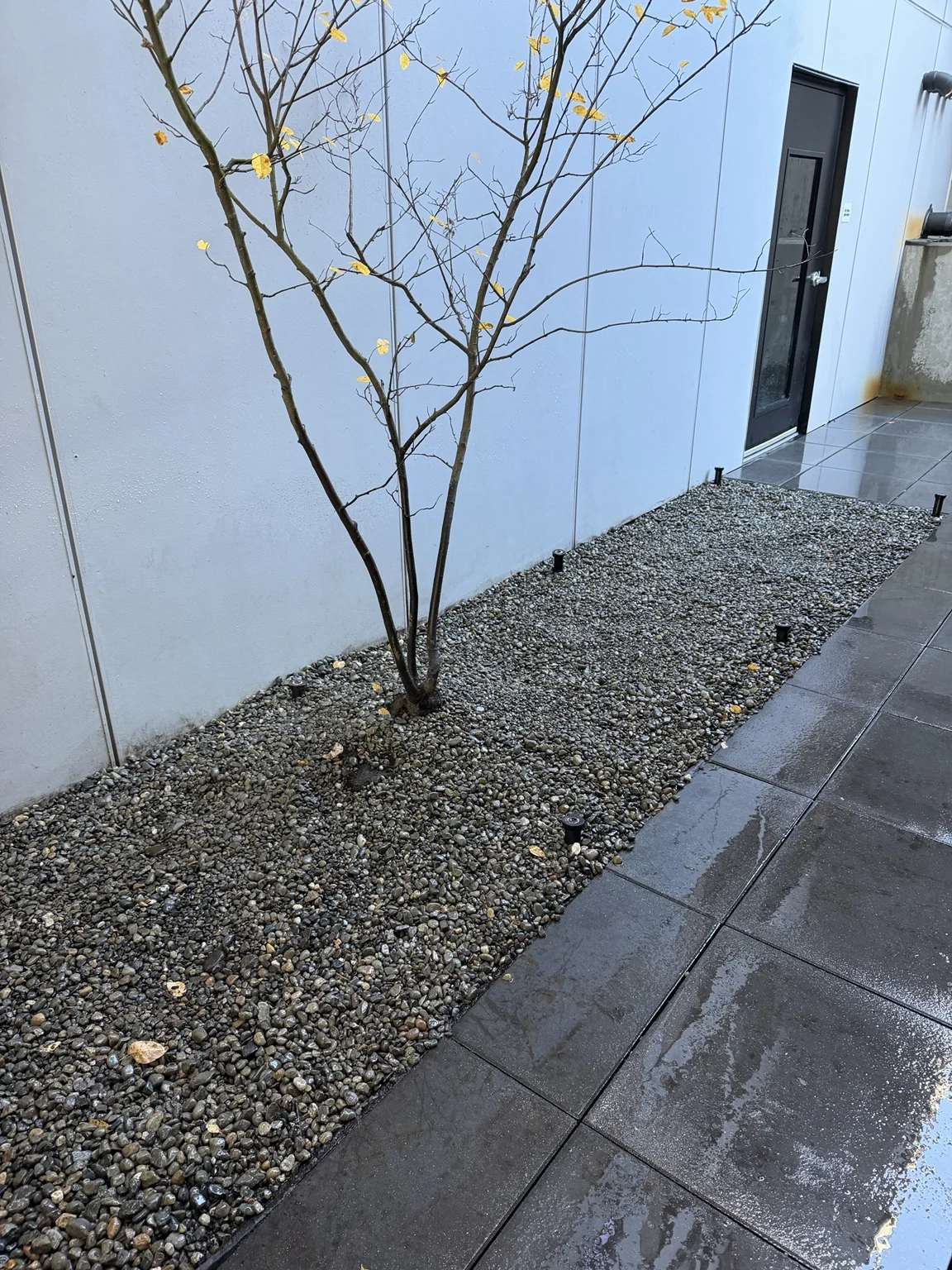 Completed: Tapestry apartment garden bed rock conversion in Seattle, Washington — view 3